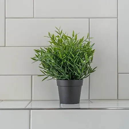 Cosy In Ridzenes Riga