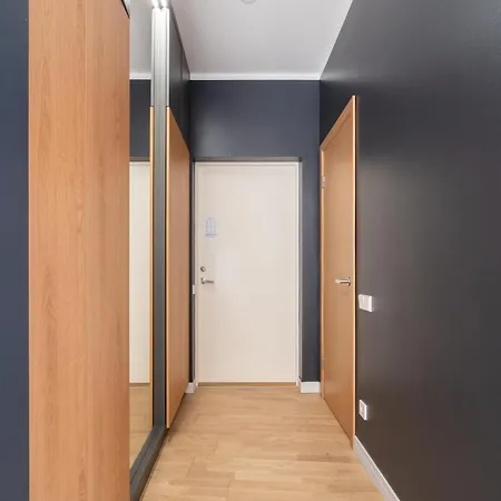 Cosy In Ridzenes 公寓 里加