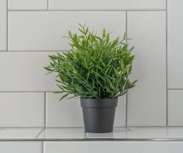 Cosy In Ridzenes Riga